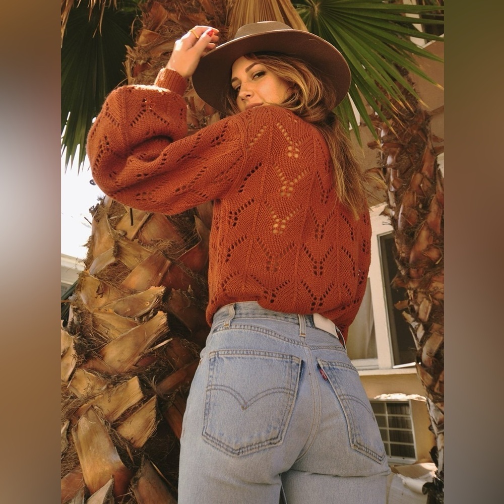 Le Rumi Rust Knit Sweater